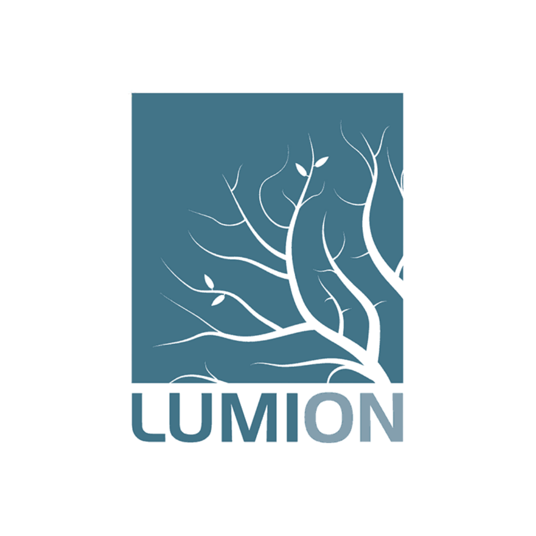 Licença Lumion Standard ACT-3D com Subscrição de 36 Meses e Atualizações da Versão
