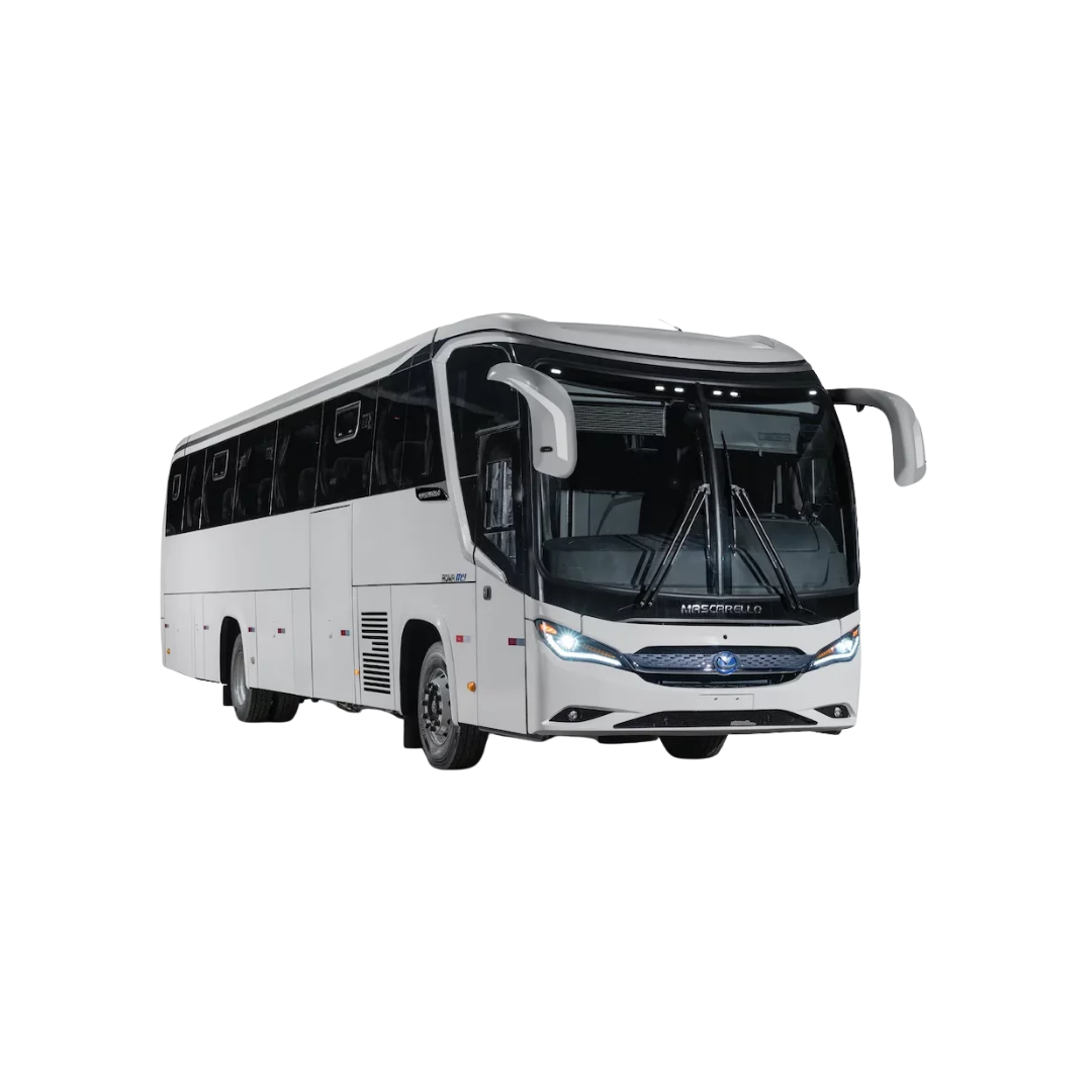 Ônibus Rodoviário Mascarello Roma M4 44 Lugares Com Banheiro E Acessibilidade