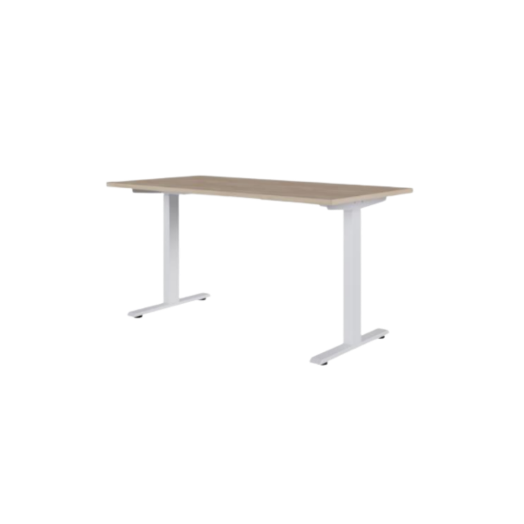 Mesa Retangular Com Regulagem De Altura Elétrica 1000x700x660/1300mm