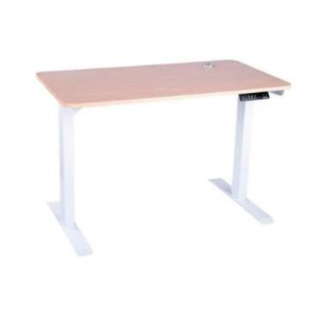 Mesa Retangular com Regulagem de Altura Elétrica Medindo 1000x800x660/1300mm